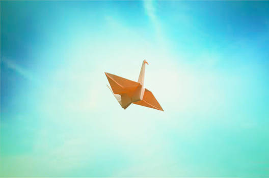 Origami in the Sky