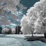 Dreams in Infrared