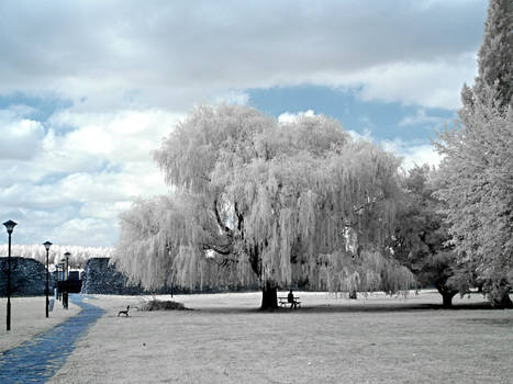 Serenity in Infrared