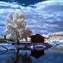Infrared Pond