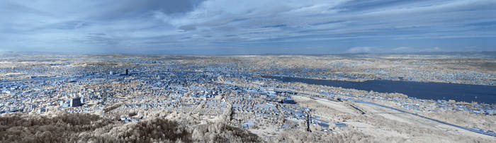 Zurich in Infrared 2