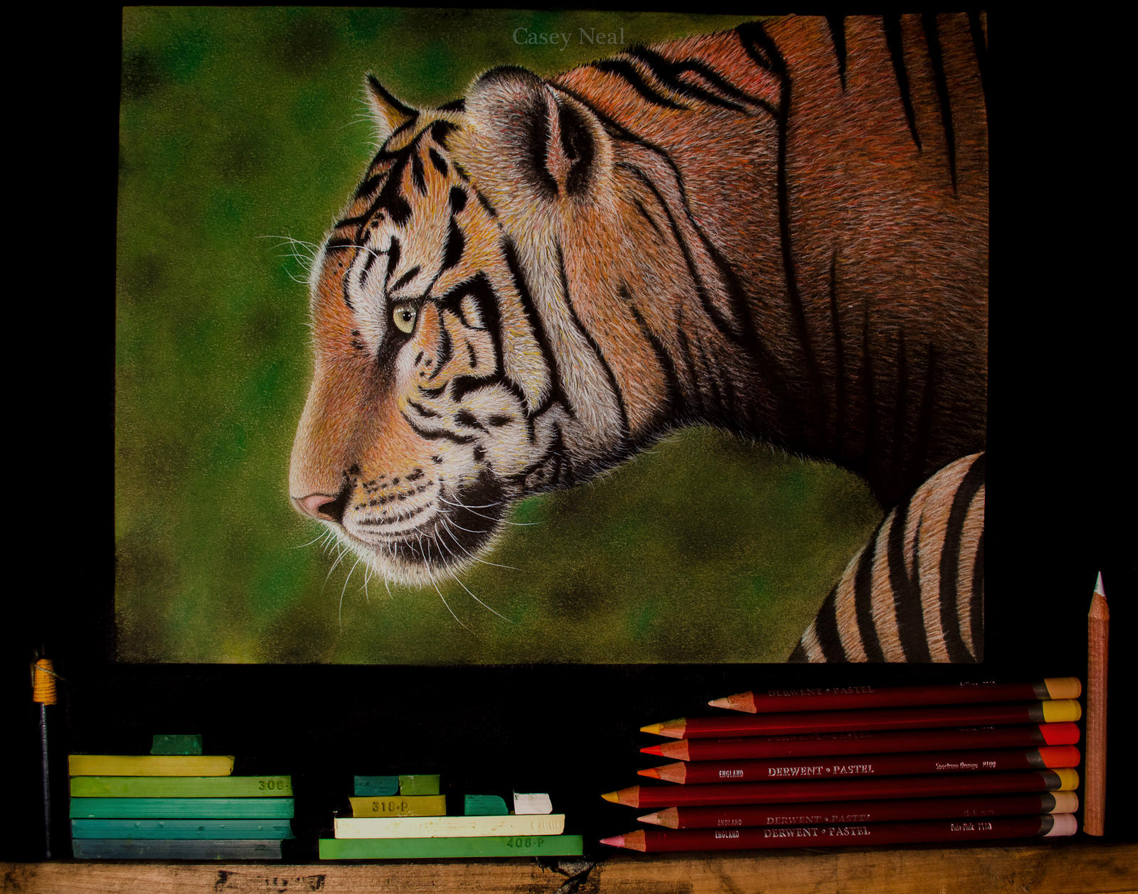 Bengal Tiger Pastel Drawing