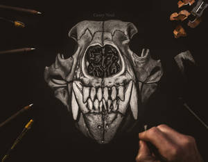 Grizzly Skull Charcoal Drawing