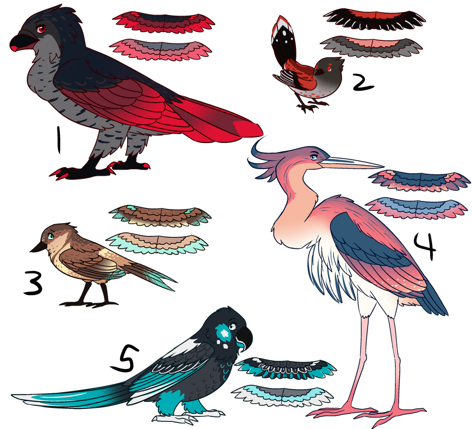 Deviantart Bird Designs Bird Adopts - 2/5 - OPEN by ItsSilverstar on DeviantArt
