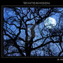 Wintermoon