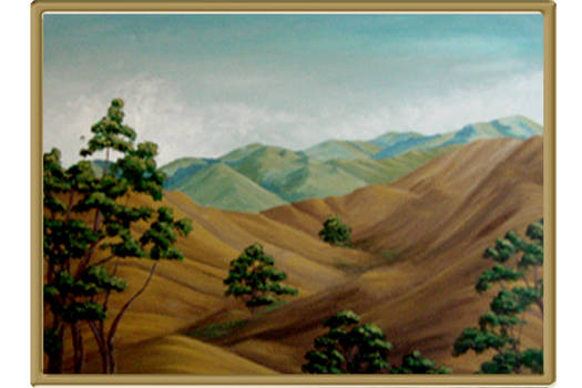 California Hills