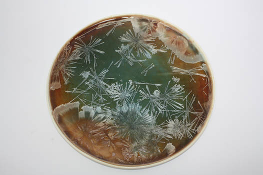 Crystalline Plate 3