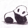 Panda cub XD