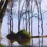 Afternoon on the Lake