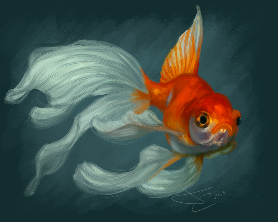 Veiltail Goldfish