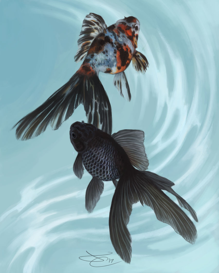 Deviantart 2007 Goldfish Goldfish by greyviolett on DeviantArt
