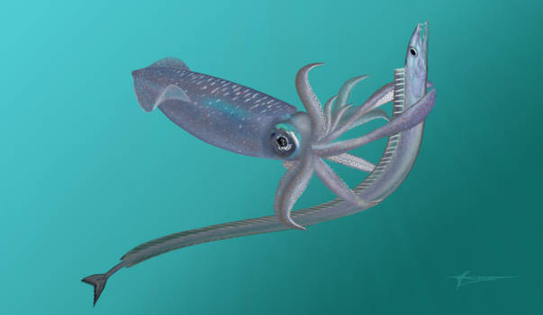 Prehistoric squid and scabbardfish Anenchelum
