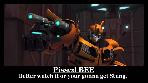 Mad Bee