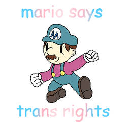 mario says trans rights!!