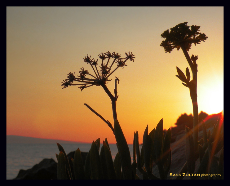 Sunset colours