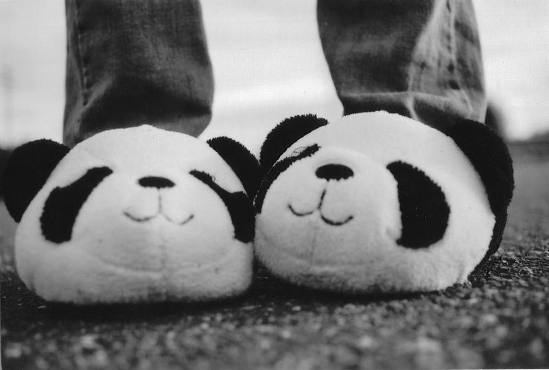 Panda Slippers