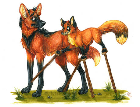 Fox On Stilts