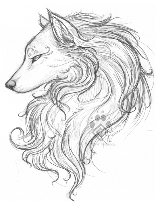 White Wolf Sketch