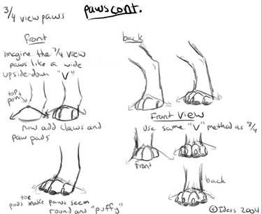 Paw tutorial 2