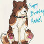 Hailed Birthday