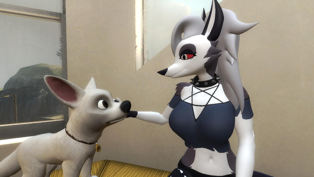 If Loona Had A Pet By Nickcaza On DeviantArt if-loona-had-a-pet-by-nickcaza-on-deviantart