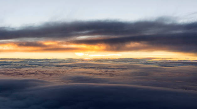 A New Dawn