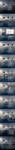 Bird Blending Tutorial by BenjaminHaley Bird Blending Tutorial by BenjaminHaley