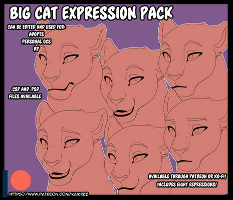 P2U Pack | Feline Expressions