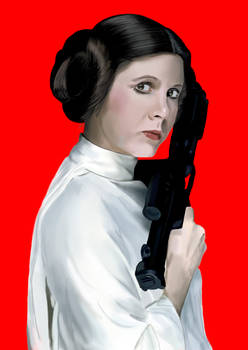 Princess Leia Organa (Star Wars)