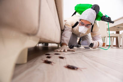 Best-Pest-Control-Tips-And-Tricks-To-Get-Rid-Of-Pe