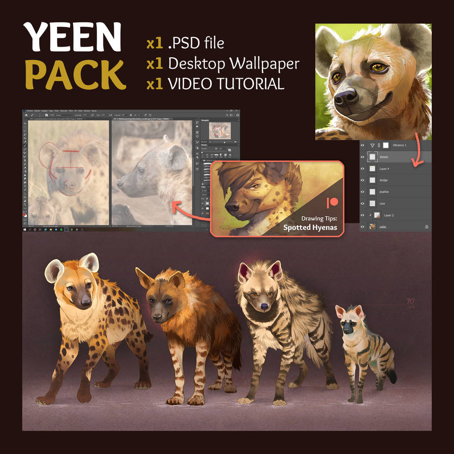 Ko-Fi YeenPack ad