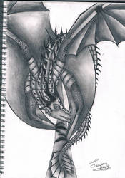 Dragon art 1