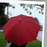 red umbrella polaroid