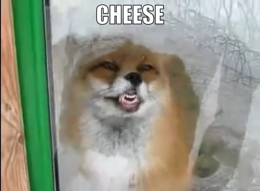 Cheese