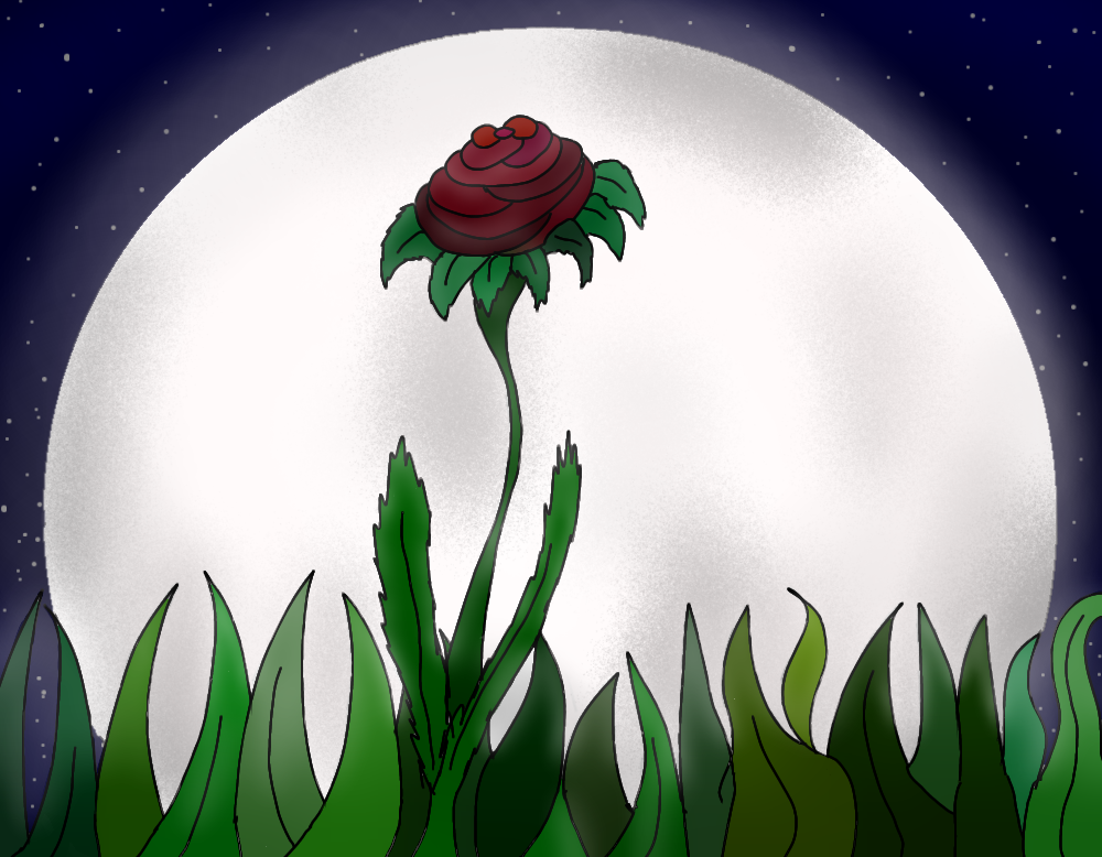 Rose in the moonlight