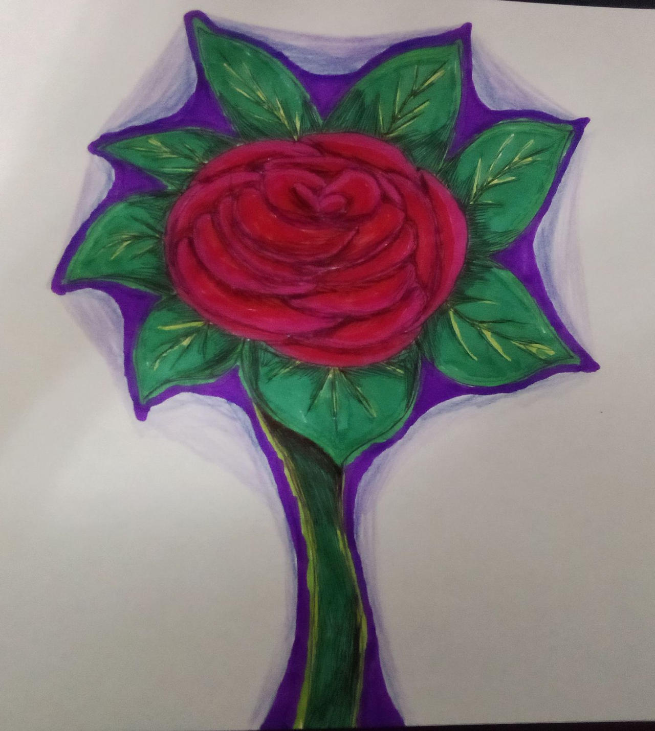 Rose