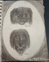 My little dogs
