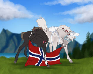 Happy Norway Day
