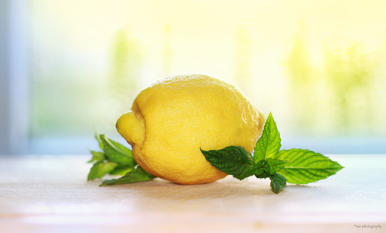 lemon. by mefotografie lemon. by mefotografie