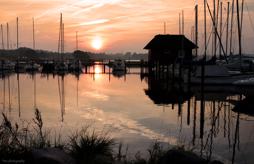 die schlei...