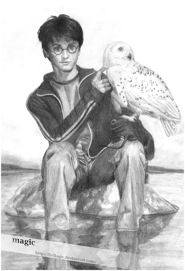 Harry Potter with owl