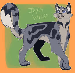 Jay's Wing