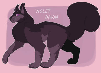 Warriors Reference Sheet- Series #5 by Angel-star143 on DeviantArt