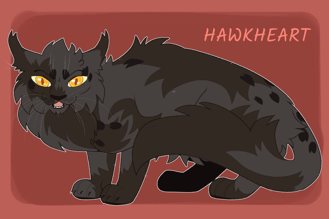 Heart Hawk Hawkheart by twilidramonart on DeviantArt