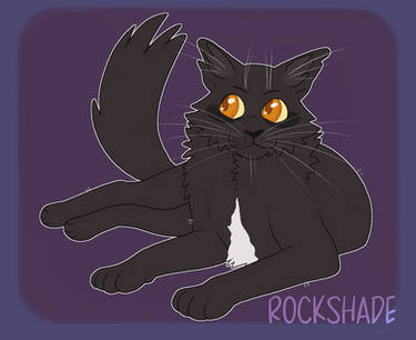 Warriors Rockshade Explore the Best Rockshade Art | DeviantArt