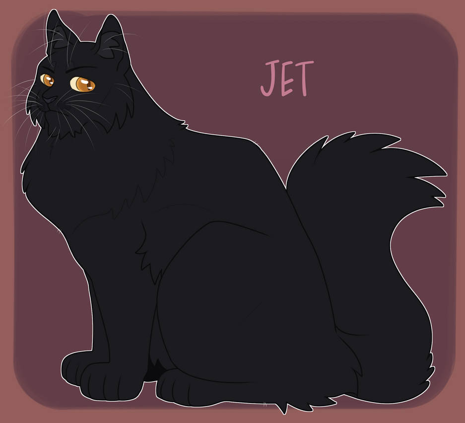 Jet by twilidramonart on DeviantArt