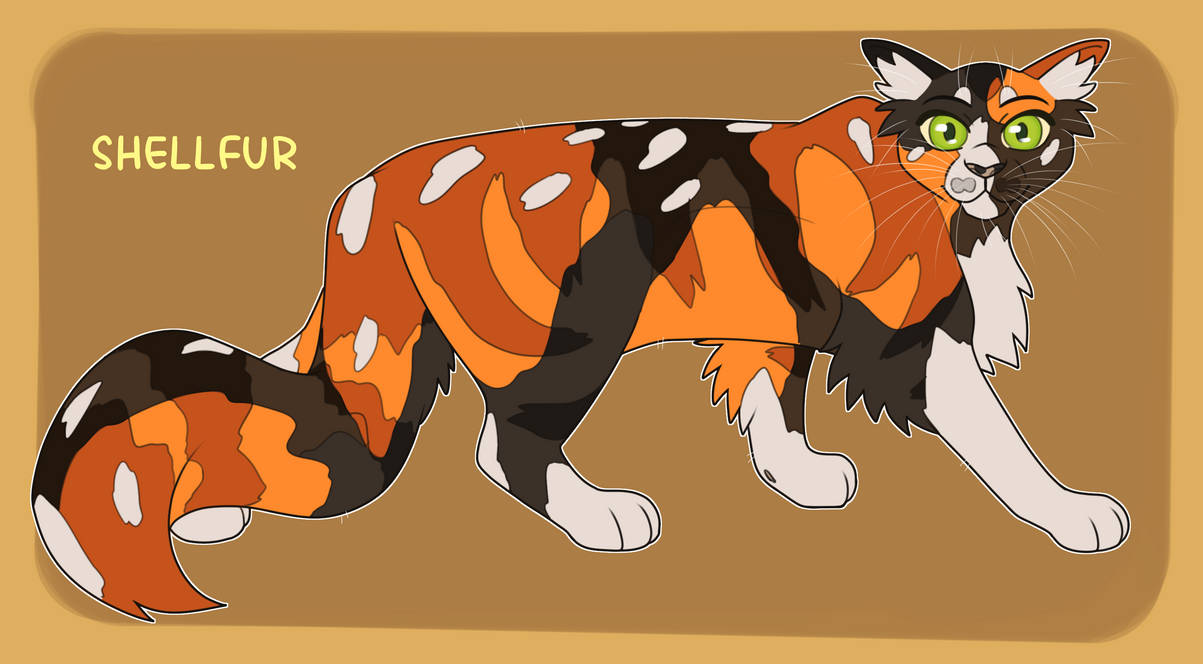 Shellfur by twilidramonart on DeviantArt