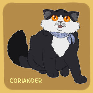 Coriander [Daisy's Kin]