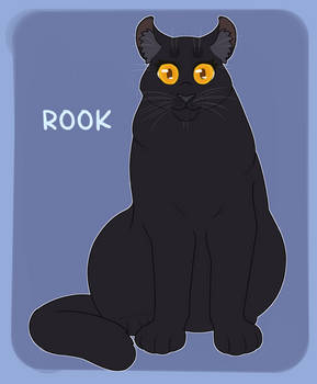 Explore the Best Rook Art | DeviantArt