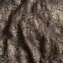 Brown Lace 02